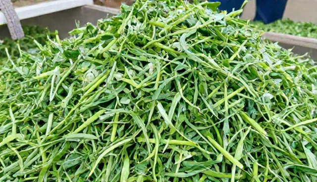 业务优化：仓储保鲜使用建议的实践分析